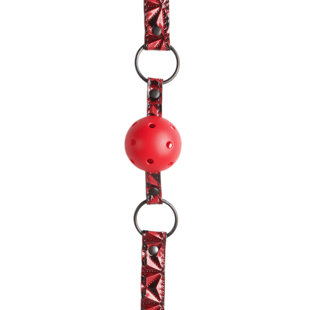 Ball Gag Accessory - Image 4